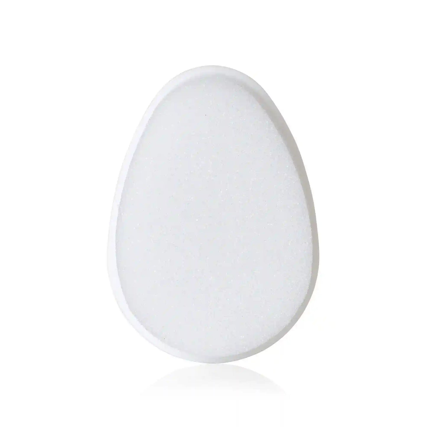 DermaFrida the FLAKEFIXER Replacement Sponge