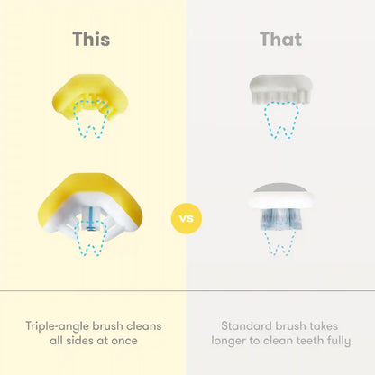 Grow-With-Me Training Toothbrush Set