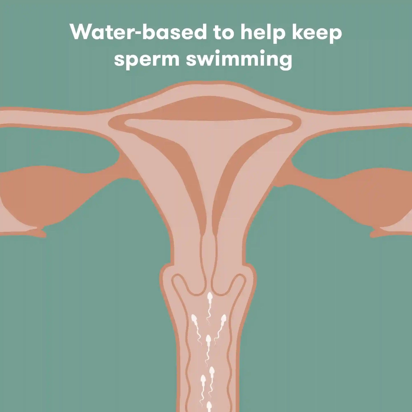 Conception Friendly Lubricant